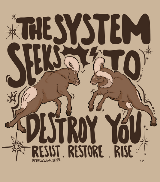 The System | DIGITAL DOWNLOAD ONLY